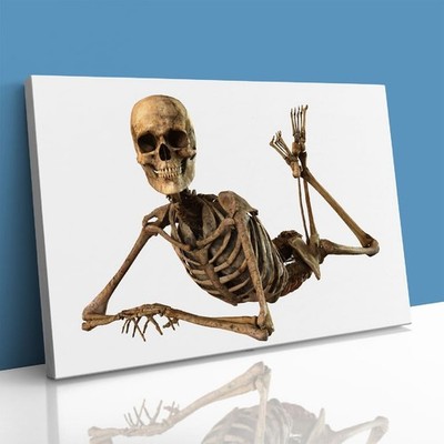 Lächelndes menschliches Skelett pädagogisches gerahmtes Leinwandbild Bild Wandbild