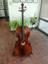 New Cedar Music Model CD 4/4 Full Size Cello - Oil Varnish with Bow, Rosin, Bag
