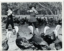 T6-62878. Orig Photo 1950s TV Unidentified Comic Duo as Pilgrims at Turkey Shoot