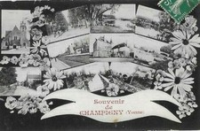 CPA cartes postales anciennes  Souvenir de Champigny  vues fleurs 