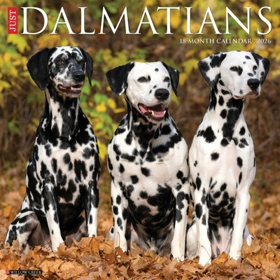 WILLOW CREEK PRESS Dalmatians 2026 12" x 12" Wall Calendar (free shipping)
