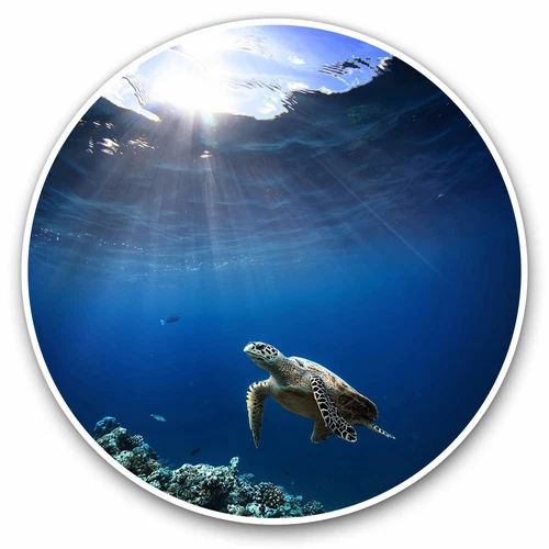 2 x Vinyl Stickers 20cm - Underwater Turtle Ocean Dive Diver Cool Gift #8209
