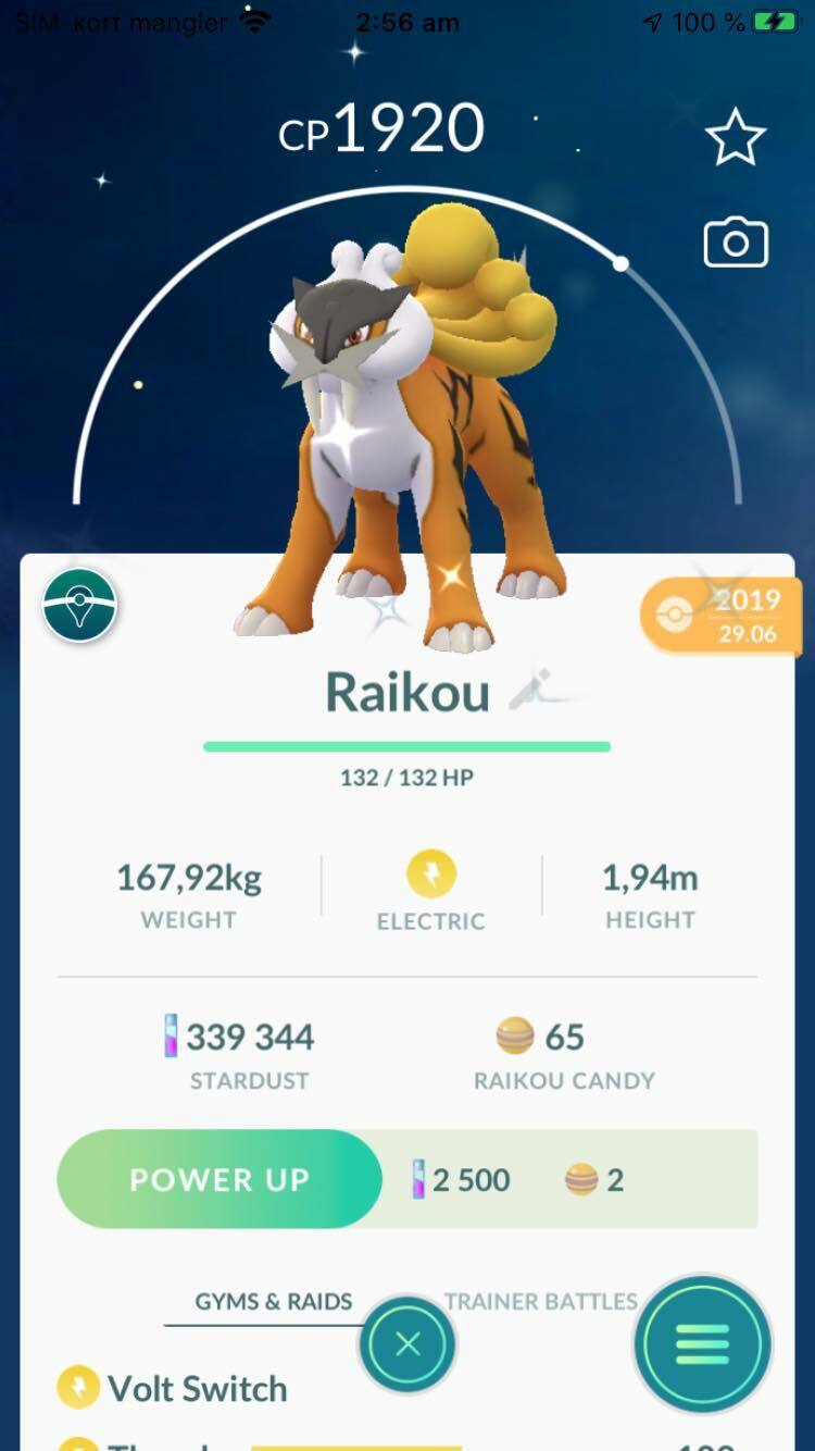 Pokemon Shiny Legendary Raikou Registered Or 30 Days Trade