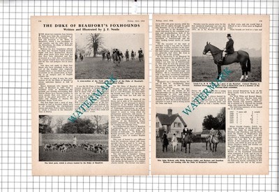 The Duke Of Beaufort's Foxhounds Lt Col R B Moseley John Roberts - 1954 Artikel