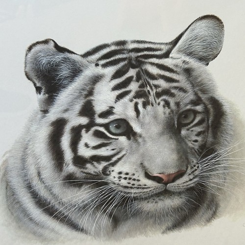 White Tiger by french artist Charles Frace Vintage Museum framing - Picture 2 of 7