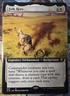 Folk Hero (Extended Art), Commander Legends: Baulders Gate,Regular,MTG,#608,NM++