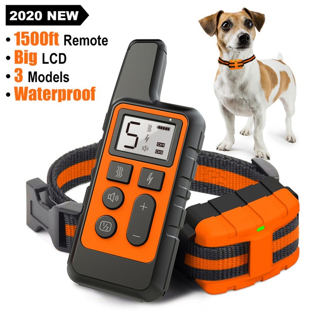 trainer dog training collar