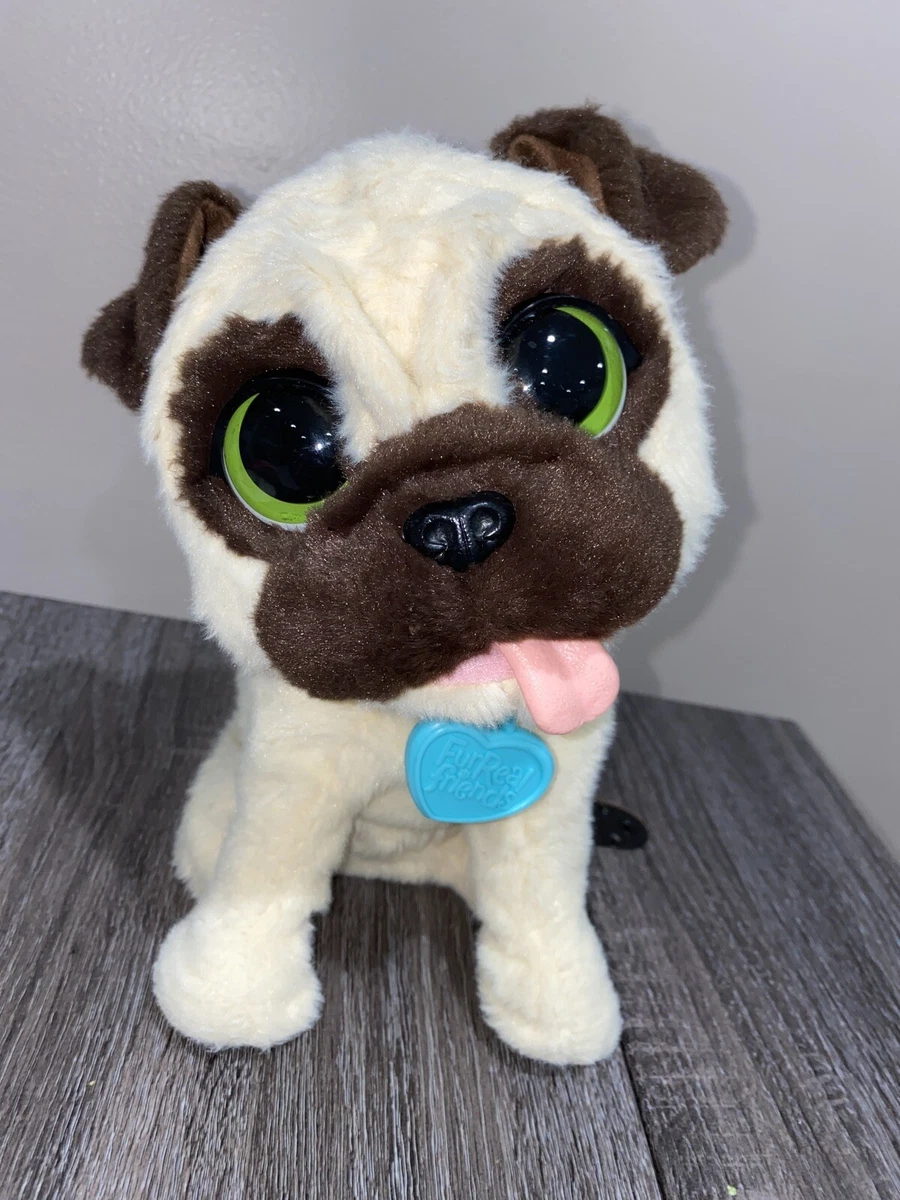 My jumping pug store