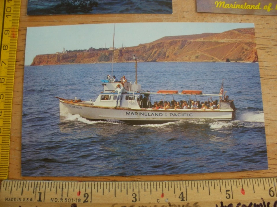 Lote de 6 postales Marineland años 60 buzo ballenas delfines Palos Verdes CA Foto 3 de 4