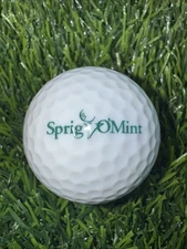 NIKE 1 - Sprig O’Mint Golf Club logo golf ball - CLOSED COURSE - Bremen, Indiana