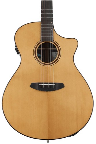 breedlove American c25 | eBay