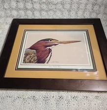 Green Backed Heron Art Lamay Signed Lithograph Limited Edition Print~READ