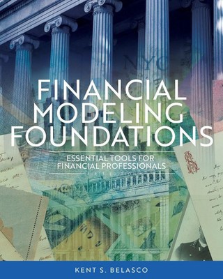 Financial Modeling Foundations Essential Tools for Financial Professionals Buch