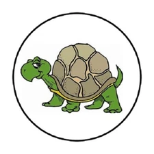48 Cool Turtle !!  ENVELOPE SEALS LABELS STICKERS 1.2" ROUND