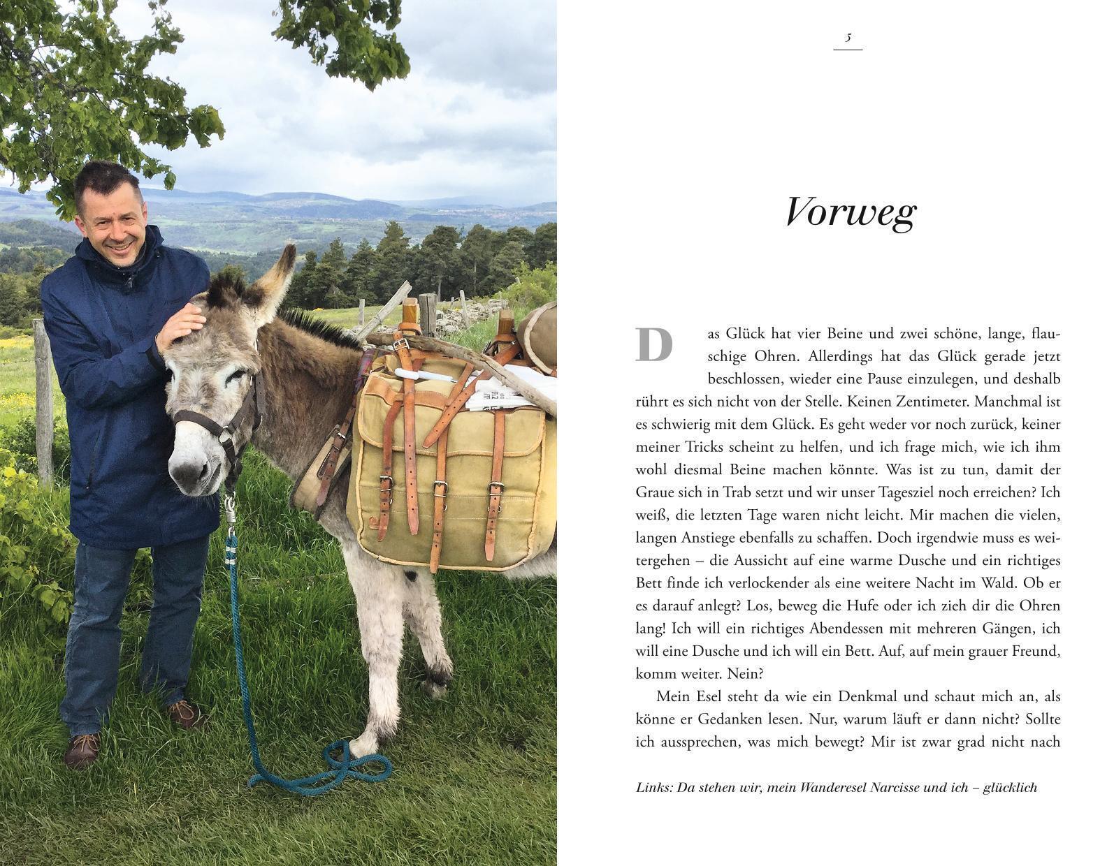 Thumbnail - Erik Kormann Der Esel Steht