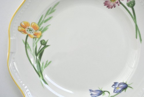 4 Villeroy & Boch MY GARDEN Country Collection Salad Plates NEW with TAGS - Picture 4 of 9