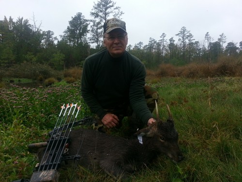 Sika Screamer Bugle Call ( Free Shipping) - Picture 4 of 4