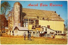 Amish Barn Raising Country Pennsylvania Postcard horse animal 