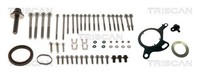 Zahnriemensatz Triscan 8647 16025C FüR Ford Fiesta 7 Hj Hf 6 CB1 Ccn Max Dxa CB7