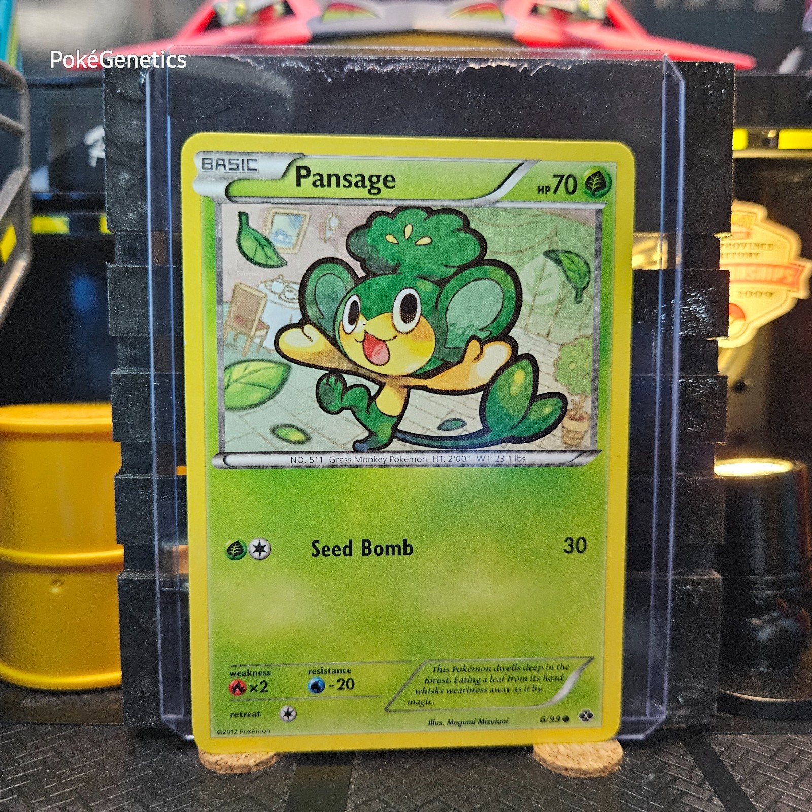 Pansage Next Destinies Pokémon TCG 6/99 Black & White 4 Common