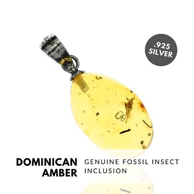 INSECTS - Natural Dominican Amber Pendant, Fossil Inclusion, Sterling Silver