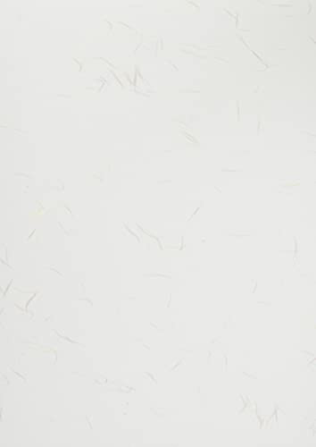 Grand papier ouvert (onao) fleur grand 20 feuilles Japon