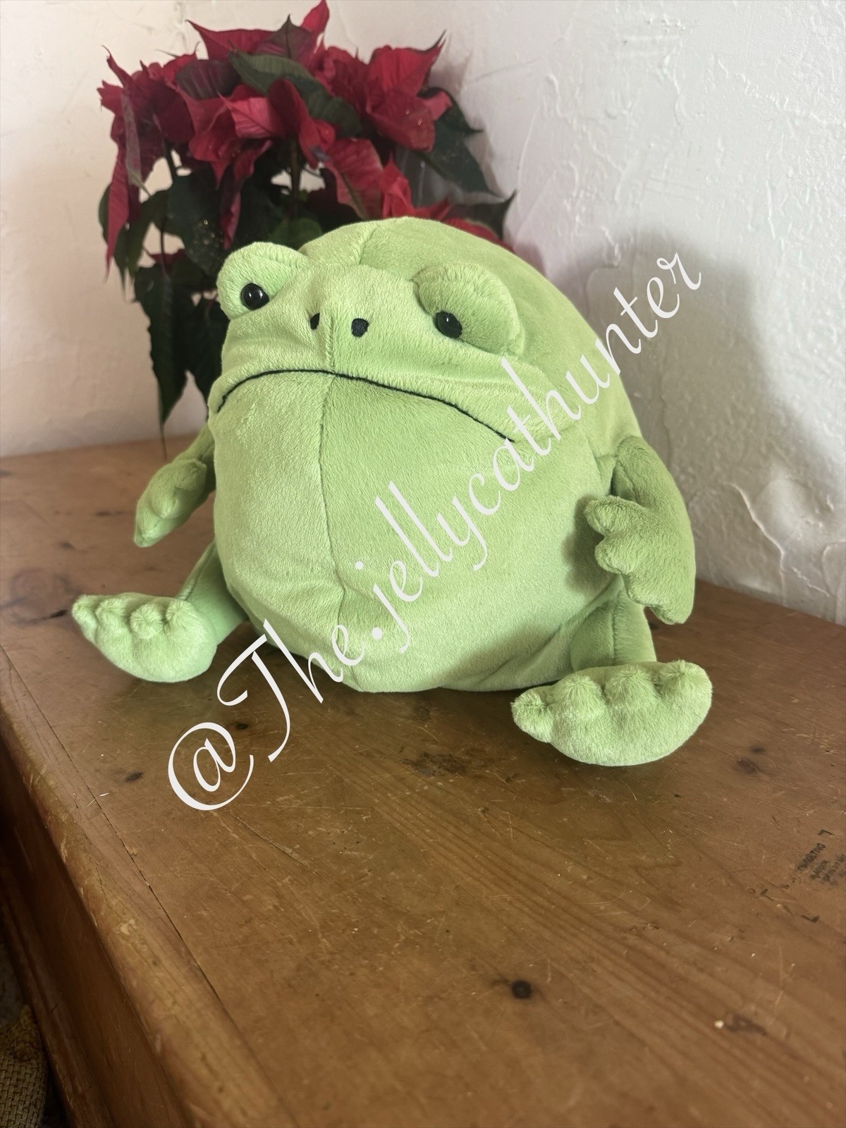 Jellycat Ricky Rain Frog Large doudou grenouille de collection BNWT vert - 3