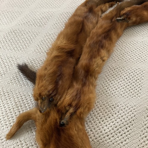 Mink Pelt Stole Four Full Connecting Red Minks Tails Feet Mouth Clip Vintage - Picture 3 of 7