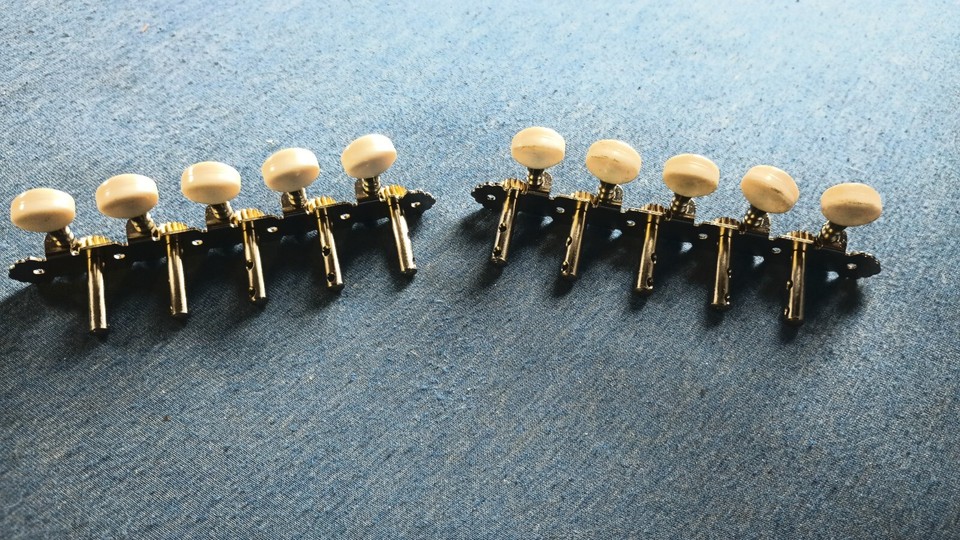 5X2 Bajo Quinto Slot Peghead Machine Heads 10 String Acoustic Guitar