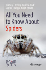 All You Need to Know about Spiders the New