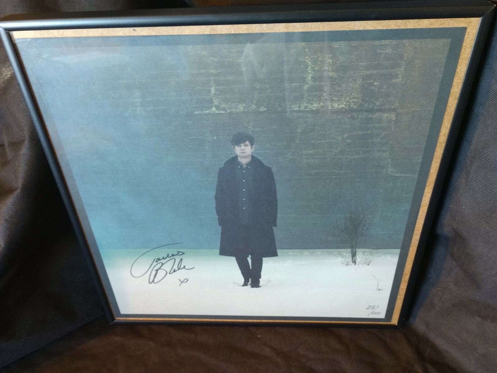 James Blake Overgrown Signed Framed Picture 218 600 Ebay