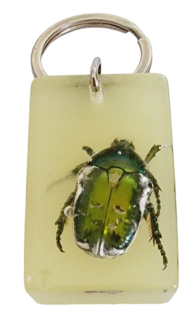 Beetle keyring shop