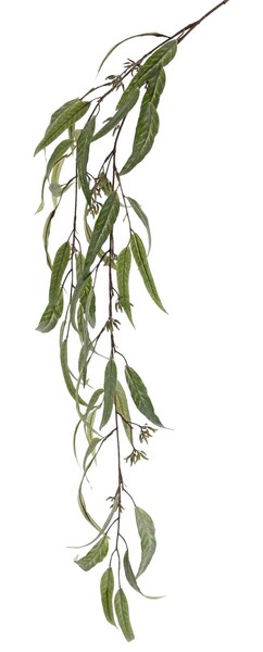 Artplants Textil Eucalyptuszweig Orania Mit FrüChten, GrüN, 145Cm-image