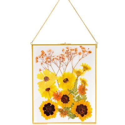 AVLA Brass Hanging Photo Frame, 11x14 inch Double Glass Floating Frame, Large Pi