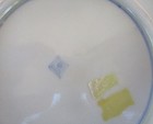 Antique Japanese Meiji Period Imari Porcelain Bowls Signed — photo 7