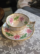 Vintage Royal Chelsea Bone China Teacup And Saucer, Pink Lillies(?) 1960s 