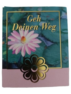Geh Deinen Weg Selbsthilfebuch Hardcover Lebenssinn Lebensziele Ratgeber Deutsch