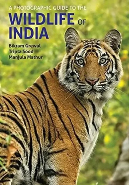 A Photographic Guide To The Wildlife Of India | Bikram Grewal | Taschenbuch-image