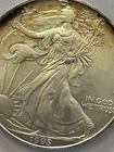 1 oz. American Silver Eagle .999 1995 Silver Bullion