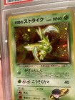 Foto 7 di 7