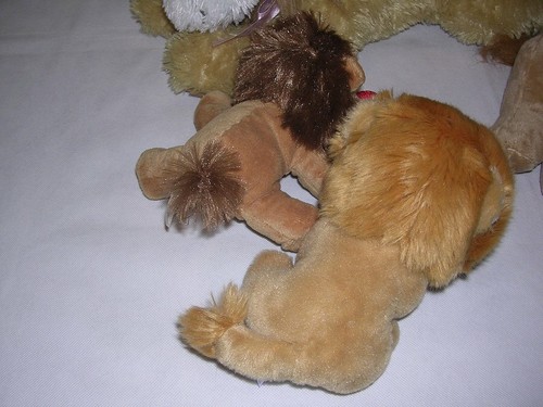 LOT 6 Stuffed Lion Plushies Boyds Collection Kohl's Cares Tawny Scrawny TY Louie - Picture 4 of 12