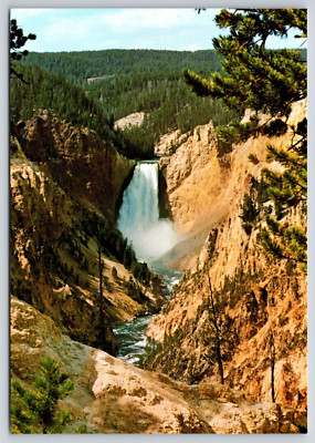Scenic View Lower Falls From Moran Point Yellowstone Park WY Postcard UNP 6x4