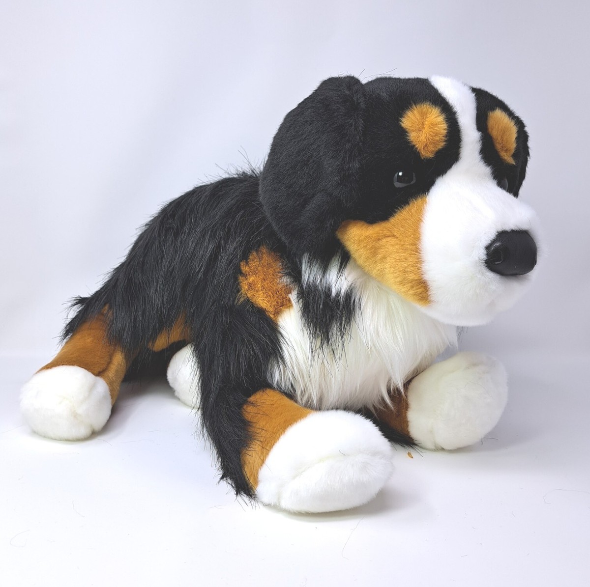 Westminster Kennel - Bernese Mountain Dog Puppies for Sale in Westminster, SC | AKC