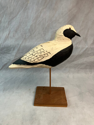 Vintage  Herter's 1893 series, Black Bellied Plover, 10'' long