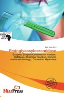 Niek Yoan | Endoglycosylceramidase | Taschenbuch | Englisch (2026)