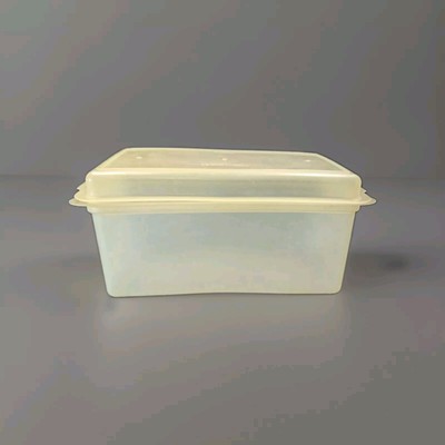 Vintage Tupperware Bread Saver #171 with Cover #172