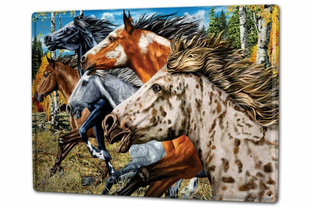 Horses Metal Decorative Plaques & Signs