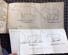 Picture 4 of 4