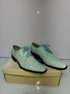 hugo vitelli alligator