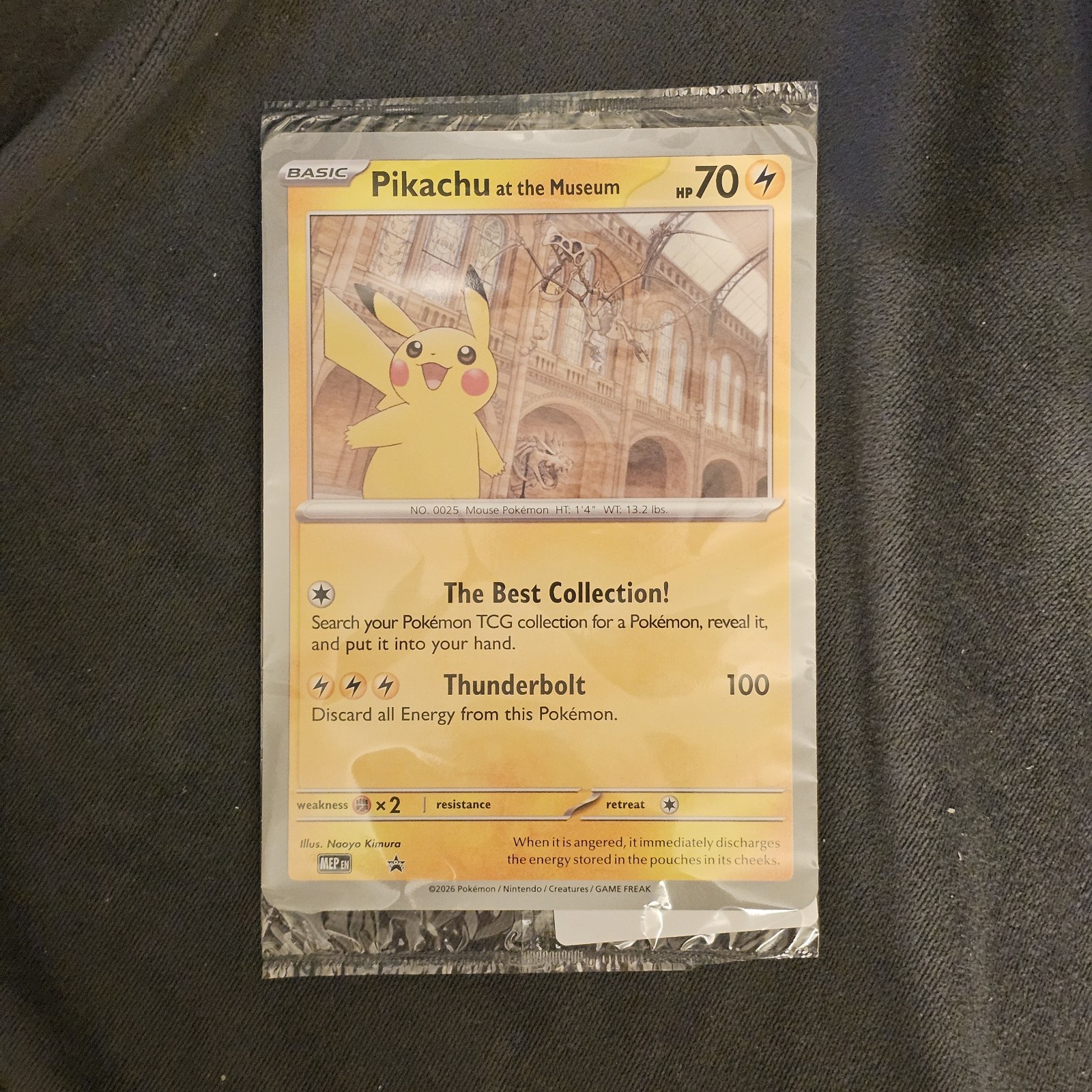 Pikachu At The Museum, Pokemon X Natural History Museum